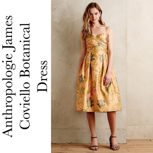 Anthropologie Dresses & Skirts - Anthropologie James Cavillo Botanical Dress NWOT